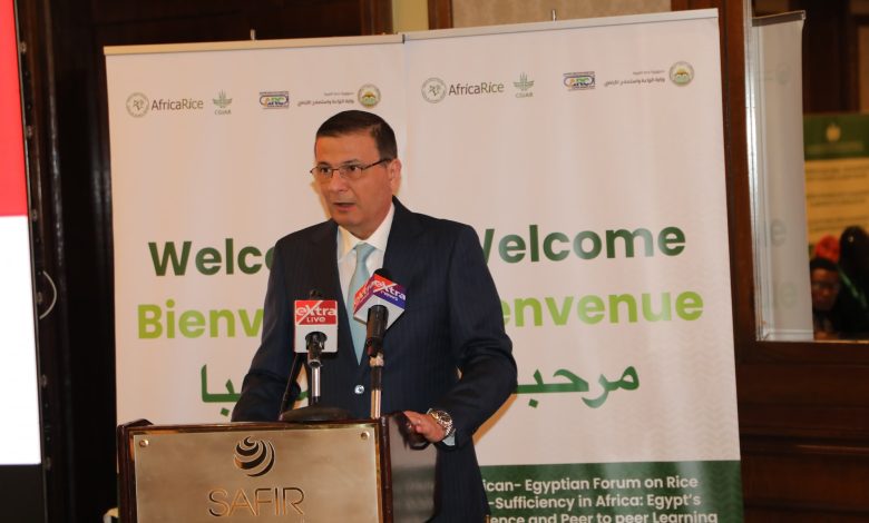 الأعلى عالميًا.. ارتفاع إنتاجية مصر من الأرز إلى 5 أطنان للفدان