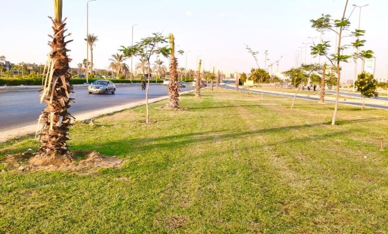 جهاز مدينة 6 أكتوبر يكثّف أعمال الزراعة والتجميل استعدادًا لافتتاح المتحف المصري الكبير جهاز مدينة 6 أكتوبر يكثّف أعمال الزراعة والتجميل استعدادًا لافتتاح المتحف المصري الكبير