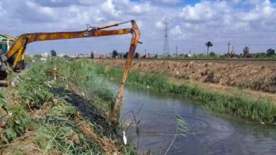 وزير الري: تطهير مصارف زراعية بأطوال ٨ آلاف كيلومتر حتى الآن