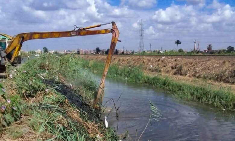 وزير الري: تطهير مصارف زراعية بأطوال ٨ آلاف كيلومتر حتى الآن وزير الري: تطهير مصارف زراعية بأطوال ٨ آلاف كيلومتر حتى الآن
