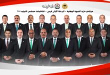 عاصم الجزار: الجبهة الوطنية لديه 45 مرشحًا على المقاعد الفردية وندعمهم بقوة.. وتم فصل غير الملتزمين حزبيًا