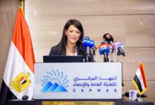 وزيرة التخطيظ:  إضافة ٣ مجالات جديدة للتعداد تشمل بيانات التجارة الإلكترونية وخدمات التعهيد والاقتصاد الأخضر 