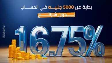 بنك التنمية الصناعية يعلن تعديل العائد على حساب “حصالة” إلى 16.75% يوميًا