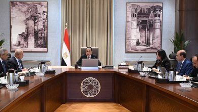 رئيس الوزراء يتابع تنفيذ مشروع القوس الغربي لمحور اللواء عمر سليمان بالإسكندرية