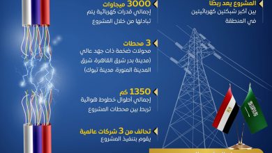 مصر والسعودية تقتربان من تشغيل مشروع الربط الكهربائي الأكبر في الشرق الأوسط