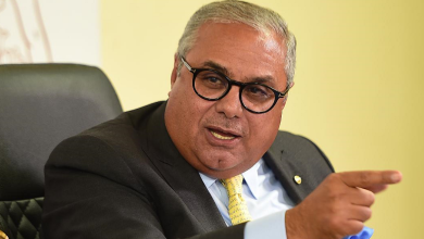 هاشم السيد رئيسًا تنفيذيًا لوحدة الشركات المملوكة للدولة