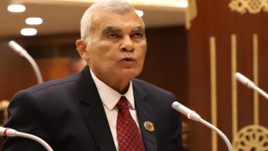 المستشار عصام الدين فريد رئيساً لمجلس الشيوخ