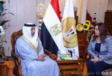 وزيرة التنمية المحلية تستقبل سفير الإمارات الجديد لبحث تعزيز التعاون في المجالات التنموية والبيئية