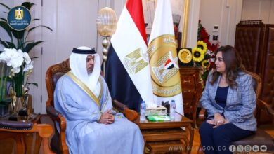 وزيرة التنمية المحلية تستقبل سفير الإمارات الجديد لبحث تعزيز التعاون في المجالات التنموية والبيئية
