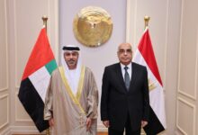 بحث اتفاقيات تسليم المجرمين وتطوير العدالة الرقمية بين مصر والإمارات
