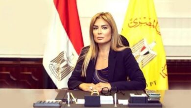 غادة توفيق: البنوك المصرية تحولت من مؤسسات مالية إلى أذرع تنموية تحقق رؤية مصر 2030