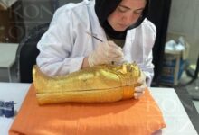 بالصور.. دعوة احتفالية المتحف المصري الكبير تستلهم سحر الذهب والملوك من تابوت توت عنخ آمون