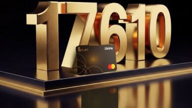 البنك المصري لتنمية الصادرات يطلق الرقم الجديد 17610 لعملاء EWealth