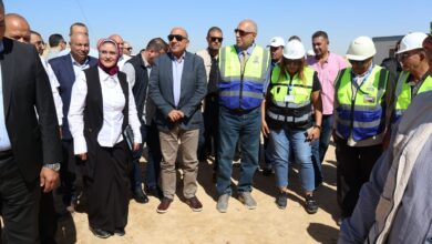 عصمت: الربط الكهربائي المصري السعودي نواة لربط كهربائي عربي شامل  عصمت: الربط الكهربائي المصري السعودي نواة لربط كهربائي عربي شامل