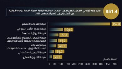 851.4 مليار جنيه إجمالي التمويل الممنوح من الجهات الخاضعة للرقابة المالية حتى أغسطس 2025