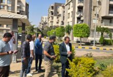  جهاز مدينة الشيخ زايد يواصل تطوير وصيانة المسطحات الخضراء وتحسين جودة الحياة 