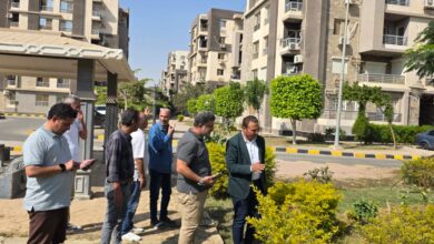 جهاز مدينة الشيخ زايد يواصل تطوير وصيانة المسطحات الخضراء وتحسين جودة الحياة   جهاز مدينة الشيخ زايد يواصل تطوير وصيانة المسطحات الخضراء وتحسين جودة الحياة