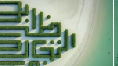 بنك أبوظبي التجاري يصدر تقريره الثاني للانبعاثات الممولة المباشرة لتعزيز التمويل المستدام بنك أبوظبي التجاري يصدر تقريره الثاني للانبعاثات الممولة المباشرة لتعزيز التمويل المستدام