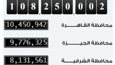 الإحصاء: 250 ألف زيادة فى سكان مصر خلال شهرين وصولًا إلي 108 ملايين نسمة