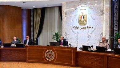 رئيس الوزراء: شاشات عرض كبرى في المحافظات لمتابعة افتتاح المتحف المصري الكبير