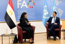 وزيرة التخطيط تبحث مع منظمة الفاو تعزيز التعاون في الأمن الغذائي والنظم الزراعية المستدامة