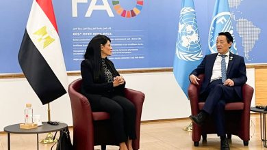 وزيرة التخطيط تبحث مع منظمة الفاو تعزيز التعاون في الأمن الغذائي والنظم الزراعية المستدامة