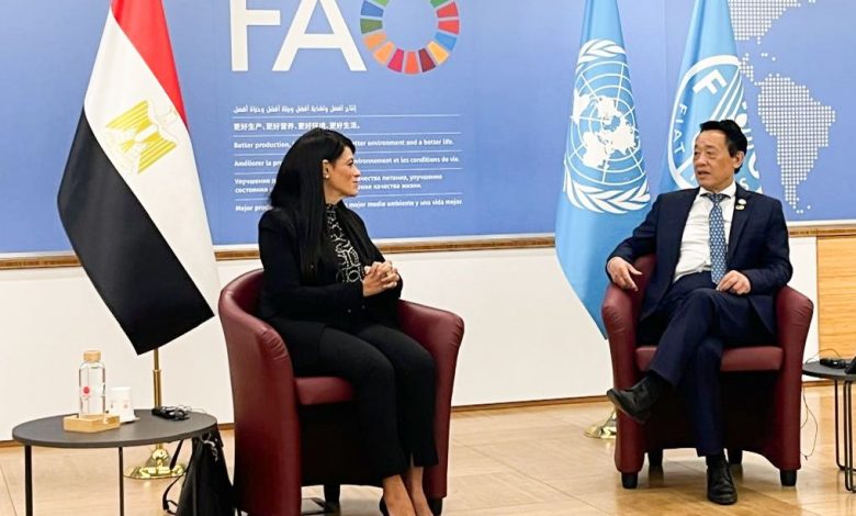 وزيرة التخطيط تبحث مع منظمة الفاو تعزيز التعاون في الأمن الغذائي والنظم الزراعية المستدامة وزيرة التخطيط تبحث مع منظمة الفاو تعزيز التعاون في الأمن الغذائي والنظم الزراعية المستدامة