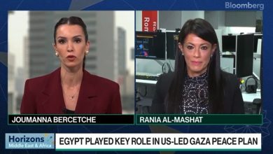 رانيا المشاط لـ«بلومبرج»: اتفاق السلام بوابة لتحول اقتصادي في مصر والمنطقة.. و2026 سيكون عامًا مفصليًا