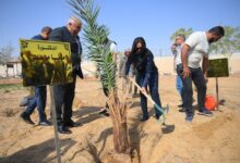 وزيرة التضامن تغرس نخلة في حديقة 30 يونيو بالوادي الجديد