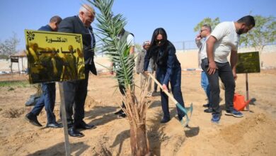 وزيرة التضامن تغرس نخلة في حديقة 30 يونيو بالوادي الجديد