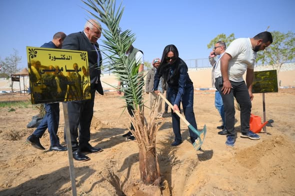 وزيرة التضامن تغرس نخلة في حديقة 30 يونيو بالوادي الجديد