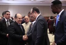 وزير قطاع الأعمال: التعاون مع الجزائر والدول الأفريقية بهدف بناء صناعة دوائية رائدة وتعزيز الأمن الصحي للقارة