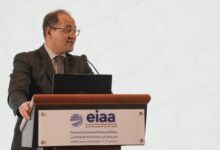 وزير المالية: “فرص استثمارية واعدة في الذكاء الاصطناعي بفضل التحول الرقمي في مصر”