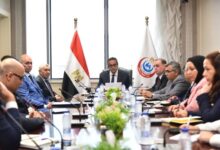 وزير الصحة يبحث مع ممثلي شركة «ميريت» توطين صناعة المستلزمات الطبية في مصر