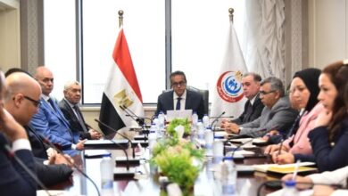 وزير الصحة يبحث مع ممثلي شركة «ميريت» توطين صناعة المستلزمات الطبية في مصر