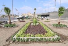 انطلاق المرحلة الرابعة من مبادرة “100 مليون شجرة” بمحافظة الفيوم