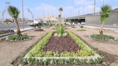 انطلاق المرحلة الرابعة من مبادرة “100 مليون شجرة” بمحافظة الفيوم انطلاق المرحلة الرابعة من مبادرة “100 مليون شجرة” بمحافظة الفيوم