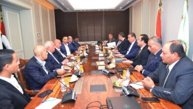 اجتماع ثلاثي بين 3 وزرات لتحفيز الإنتاج المحلي للدواجن وخفض الاستيراد