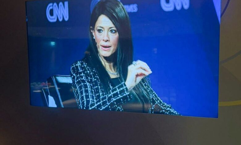 وزيرة التخطيط: القاهرة الإفريقية تمتلك 30% من الثروة المعدنية العالمية وتتمتع بموقع استراتيجي محوري يربط القارات الثلاث