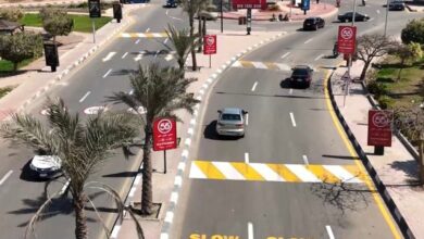 أجهزة المدن الجديدة تُواصل أعمال رفع الكفاءة والتطوير للطرق والميادين والمرافق وصيانة المسطحات الخضراء أجهزة المدن الجديدة تُواصل أعمال رفع الكفاءة والتطوير للطرق والميادين والمرافق وصيانة المسطحات الخضراء