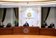 خلال اجتماعه الأسبوعي.. مدبولي: نعمل على تفعيل بروتوكولات التعاون مع الجزائر ودعم القطاع الخاص