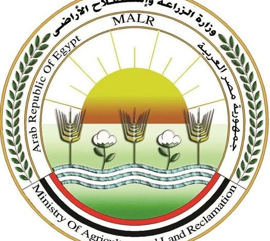 تحصين 800 ألف رأس ماشية منذ إطلاق الحملة القومية ضد مرضي الحمى القلاعية تحصين 800 ألف رأس ماشية منذ إطلاق الحملة القومية ضد مرضي الحمى القلاعية