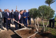 لخفض الانبعاثات الكربونية.. رئيس هيئة الرقابة المالية وقيادات قطاع التأمين يزرعون مجموعة أشجار بمدينة شرم الشيخ