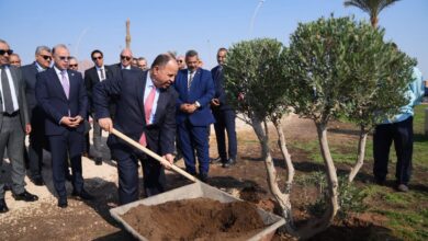 لخفض الانبعاثات الكربونية.. رئيس هيئة الرقابة المالية وقيادات قطاع التأمين يزرعون مجموعة أشجار بمدينة شرم الشيخ لخفض الانبعاثات الكربونية.. رئيس هيئة الرقابة المالية وقيادات قطاع التأمين يزرعون مجموعة أشجار بمدينة شرم الشيخ