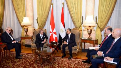 وزير الخارجية: مشاركة المجتمع الدولي في مؤتمر إعمار غزة ضرورة