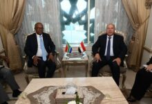 وزير الصناعة والنقل: حريصون على تعزيز التعاون الصناعي مع جنوب إفريقيا في مجال صناعة السيارات والحديد والصلب