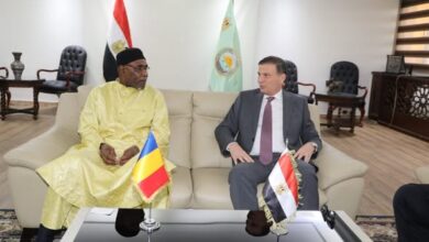 “مصر وتشاد” يبحثان خارطة طريق لتعزيز الاستثمار المشترك في الثروة الحيوانية