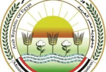“الزراعة” تطلق حملات توعوية مكثفة لتعزيز الأمن الحيوي في قطاع الدواجن المصري