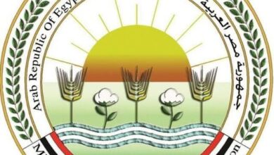 “الزراعة” تطلق حملات توعوية مكثفة لتعزيز الأمن الحيوي في قطاع الدواجن المصري