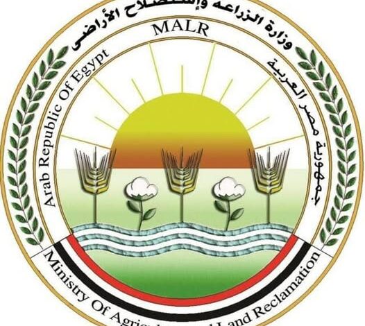 “الزراعة” تطلق حملات توعوية مكثفة لتعزيز الأمن الحيوي في قطاع الدواجن المصري